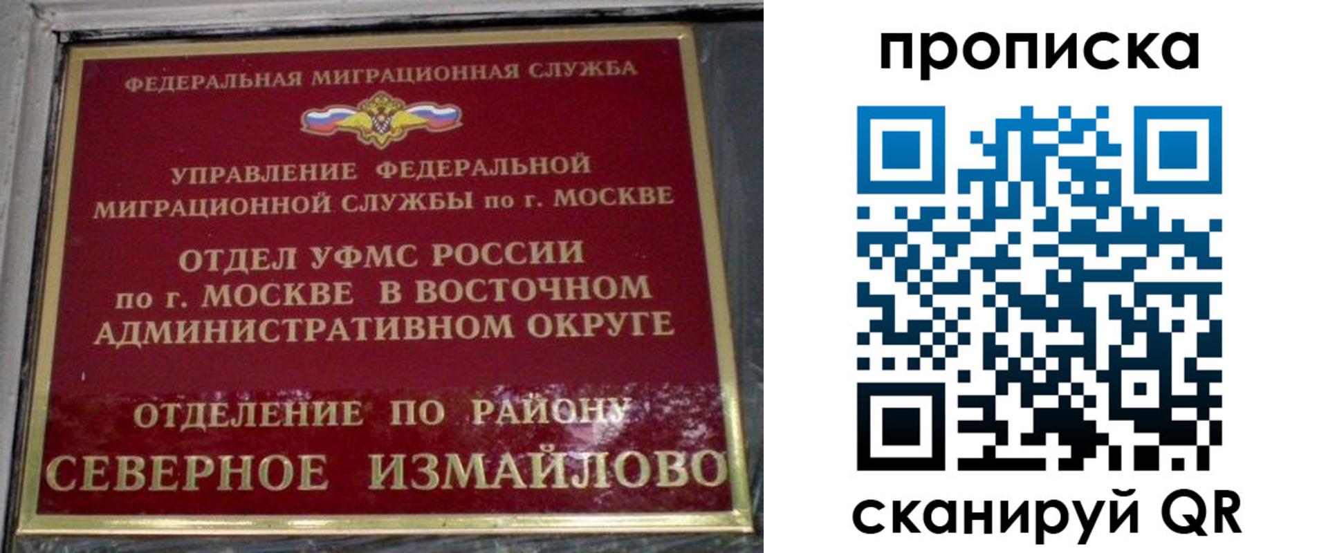 купить прописку в Снежногорске