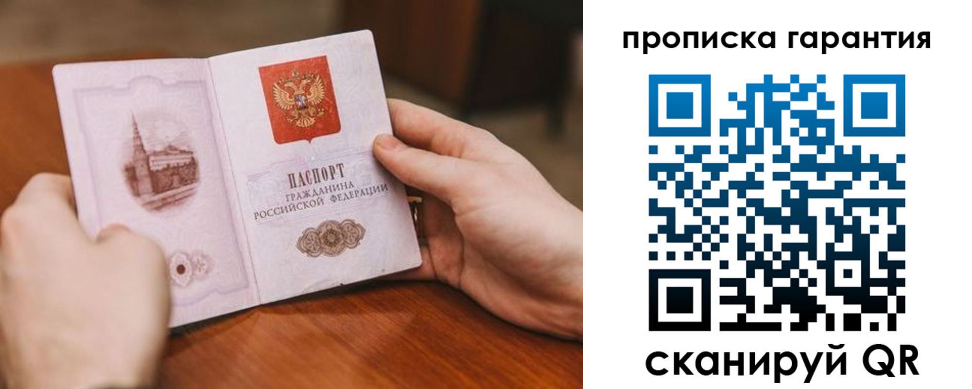 прописка поиск в Снежногорске